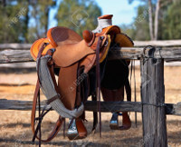 Saddles & Tack